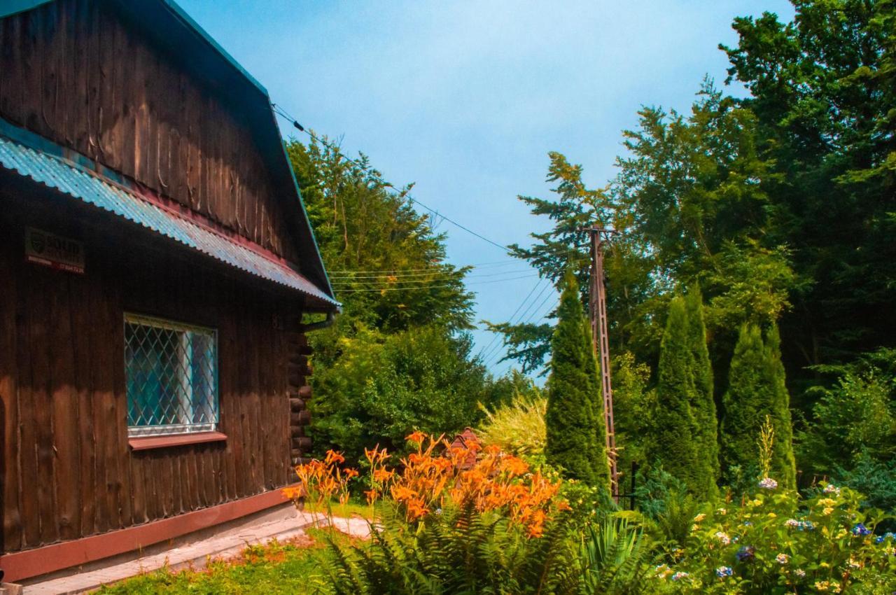 Villa Ptasi Spiew à Futoma Extérieur photo
